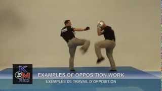 Krav Maga RED Research Evolution and Development [upl. by Leizahaj]