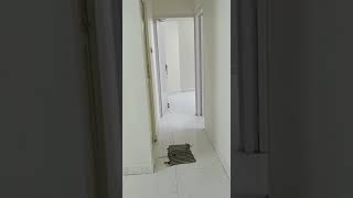 2bhk flat rent Mandaveli bsnlChettinadVidyashramPSSENIORStjohnsChaithanyaSaibabaTempleAdyar [upl. by Crifasi]