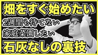 【裏ワザ】今すぐ家庭菜園で野菜栽培を始める4つの裏技【消石灰苦土石灰有機石灰の使い方】ゴールデンウィークから畑を始める方法 [upl. by Garrick]