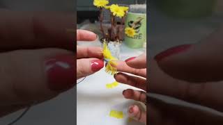 Матьимачеха видеоурок  Coltsfoot tutorial [upl. by Analaj]