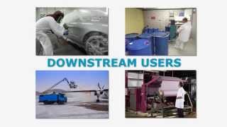 How REACH and CLP affect downstream users [upl. by Ardnnaed]