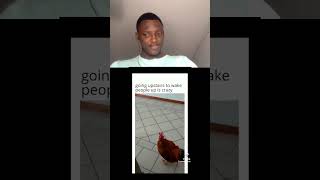 This is why chickens are to be eaten funny react reaction chicken interesting memes duet [upl. by Roane]