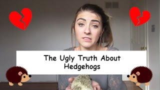 The UGLY Truth About Hedgehogs [upl. by Bradman916]