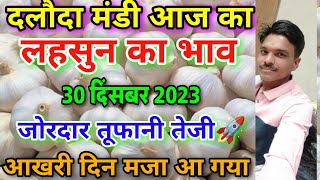 दलोदा मंडी 30 दिसंबर 2023 का लहसुन का भाव garlic rate today daloda aaj ka lahsun ka bha [upl. by Ydnir]