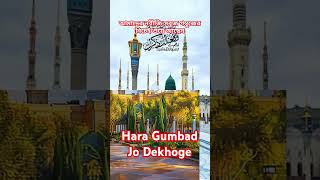 hara gumbad jo dekhoge jamana bhul jaaoge🌹 new naat madinasharif shortsfeed mimmaislamic 🤲🤲 [upl. by Dorej541]