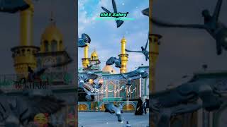 Eid Zahra sa MUBARK 🥰❤❤bukhari72 [upl. by Odnalor]