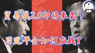 方脸说：中美贸易战20即将来袭！这次贸易战会是什么样的？习近平还能轻松面对吗？习近平又有什么可能的应对之法？ [upl. by Enneicul]