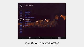 Imágenes captadas con el Visor Térmico Pulsar Talion XQ38  Muy buena relación calidadprecio [upl. by Glorianna622]