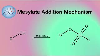 Adding Mesylate Group Mechanism  Organic Chemistry [upl. by Buke364]