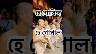 হে গোবিন্দ হে গোপাল 🙏🙏krishna govinda radhakrishna radheradhe trendingshorts iskcon like [upl. by Ciapha407]