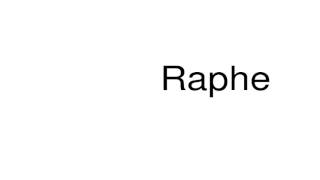 How to pronounce Raphe [upl. by Aikin]