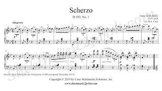 Schubert  Scherzo D 593 No 1 [upl. by Mourant]