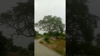 Barsat ke din aaye Mulakat Ke Din Aayeshortsviralvideo [upl. by Anissa]