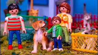 Junge will Schleich Beagle Hund aus Tierheim holen [upl. by Clary]