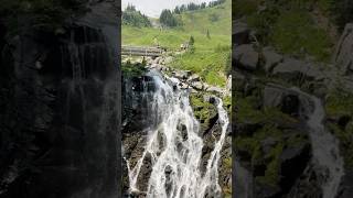 Mount Rainier Myrtle Falls youtubeshorts travel rainier [upl. by Mellar]