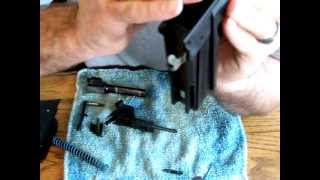 Sig Pro SP2340 SP2022 Assembly Sauer Short Trigger Disassembly Removal Installation 2 [upl. by Ateloiv292]