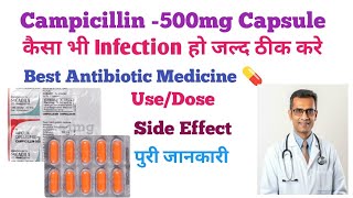 Campicillin 500mg Ampicillin capsule use in Hindi कैसा भी infection हो जल्द ठीक करे doctor use [upl. by Neibart]