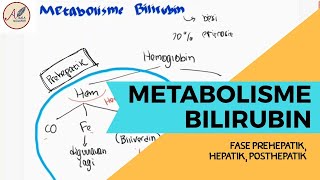 Metabolisme Bilirubin Prehepatik Hepatik Posthepatik dan Penyakit Kuning ikterik [upl. by Tema856]