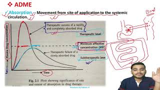 Biopharmaceutics Absorption of drugs complete chapter for GPAT 2022 amp 2023 Brahmankar chapter 1amp2 [upl. by Haase]