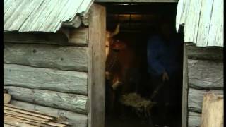 Velika planina in Kamniška Bistrica leta 1995  RTV prispevek [upl. by Gwenette226]