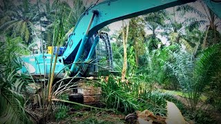 Kawasan Bukit‼️Kobelco Excavator Tumbang Chipping Kelapa Sawit [upl. by Cohlier943]