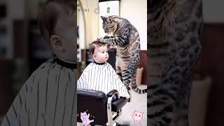 So many cute cat Baby kittens video 🌸🐹🐾 cat cute shorts kitten cutecat funnycats catlover [upl. by Alleinnad]