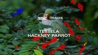 Rave belter to match the 90s originals Tesselas massive Hackney Parrot  Boiler Room [upl. by Landing]