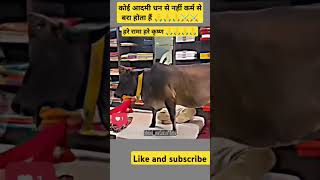 ➡️हरे रामा हरे कृष्ण song short viral videos trending video 🙏🙏🙏⚔️ [upl. by Akila]