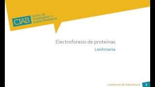 Electroforesis de proteínas Leishmania CIAB wwwciabes [upl. by Bruni]