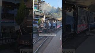 Toy train darjeeling shorts shortvideo [upl. by Valora]