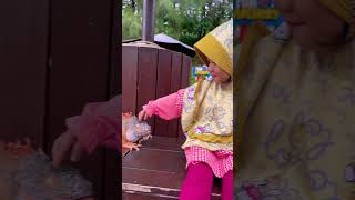 Rania Pegang Apa Itu⁉️😱raniafamily26 music bollywood song hindisong love cute baby iguana [upl. by Eimor]