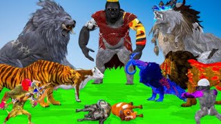 Animals fighting Movement Gorilla Buffalo Elephant Wolf Lion Tiger Leopard Dinosaur  AK Zoo Fact [upl. by Merete]