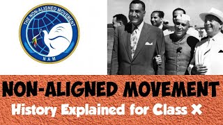 NonAligned Movement NAM  World History  ICSE Class X  Explained in English and Hindi [upl. by Dragon]