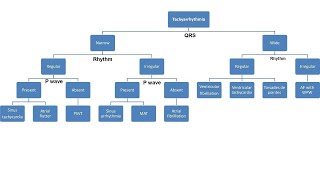 arrhythmia part 1 ECG approach and treatment [upl. by Xanthus824]