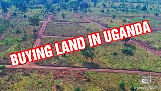 OKUGULA ETTAKA SOOKA WEETEGEREZE NGA TONNAGULAtag real estate tips Subscribe [upl. by Inalaeham908]