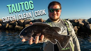 How to catch and cook TAUTOGBLACKFISH  CATCH  CLEAN  COOK [upl. by Marvel317]