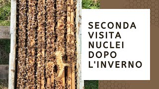 Seconda visita ai nuclei 2021 [upl. by Donelu]