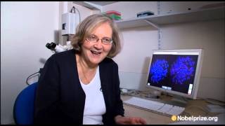 Elizabeth Blackburn 2009 Nobel Laureate in Physiology or Medicine [upl. by Lekcim461]