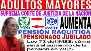 🎉SALARIO VS UMAS IMSS ISSSTE SUBE O BAJA PENSIÓN RAQUITICA PENSIONADOS JUBILADOS LEY 73 Y 97🎉 [upl. by Eceinahs]