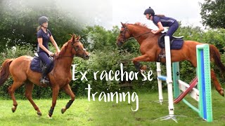 SHOW JUMPING MY THOROUGHBRED ON GRASS [upl. by Ingalls425]