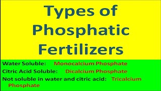 Types of Phosphatic Fertilizers [upl. by Lilah]