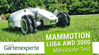 🌱 Mammotion LUBA AWD 3000 Kabelloser GPSMähroboter im Praxistest [upl. by Belva]