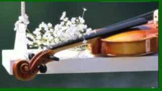 Helmut Zacharias  Violines Españoleswmv [upl. by Apurk205]