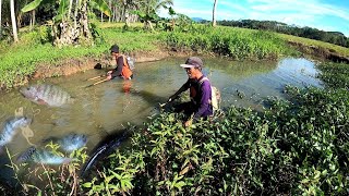 HERE IN MINDANAO Fishing Using Electric With Farmers Catch amp Cook Special Nilagpang Recipe [upl. by Aeikan]