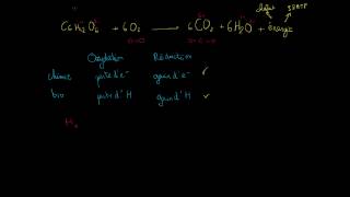 Oxydoréduction lors de la respiration cellulaire [upl. by Lorianna]