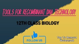 Tools for Recombinant DNA technology 12thbiology biology technology [upl. by Darom]