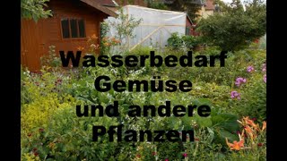 Webinar Wasserbedarf im Gemüseanbau [upl. by Margit912]