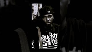 Naughty By Nature Full Mixtape on my Channel shorts [upl. by Senga579]