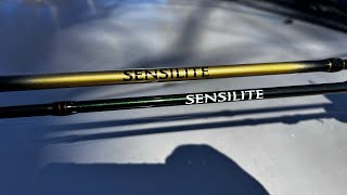 Shimano Sensilite vs Shimano Sensilite A Whats new and different [upl. by Aisital831]