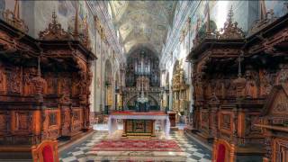 Leżajsk  XVII ct pipe organ  J S Bach Fugue g minor The Great BWV 542 [upl. by Linad]